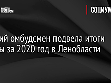 Детский омбудсмен подвела итоги работы за 2020 год в Ленобласти