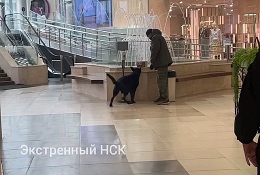 Подозрительную коробку обнаружили в новосибирском торговом центре