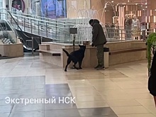 Подозрительную коробку обнаружили в новосибирском торговом центре