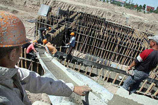 Россия и Киргизия займутся противодействием распространению чумы