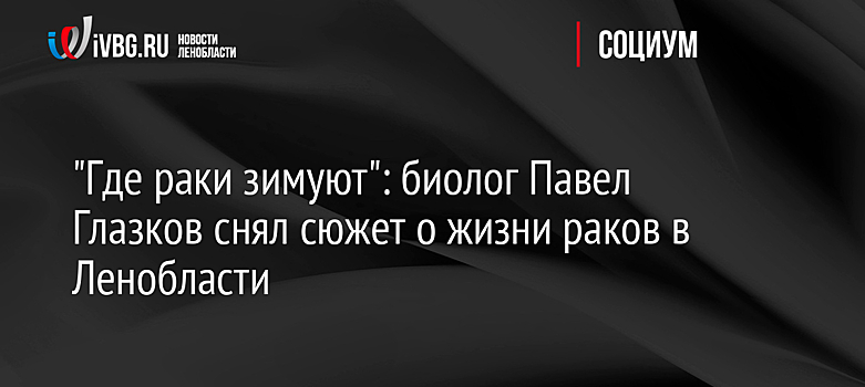 "Где раки зимуют": биолог Павел Глазков снял сюжет о жизни раков в Ленобласти