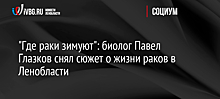 "Где раки зимуют": биолог Павел Глазков снял сюжет о жизни раков в Ленобласти