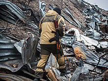 В ДНР сообщили о начале режима прекращения огня