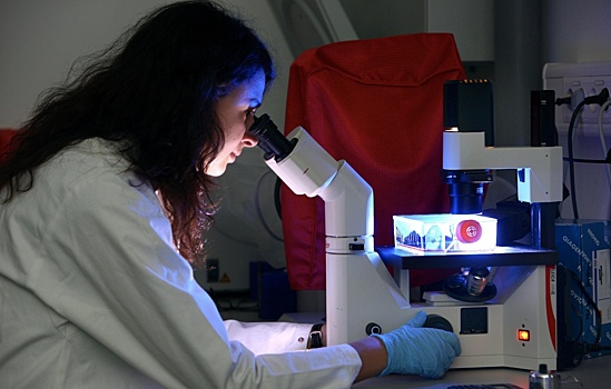 Раскрыта роль европейских ученых в конфликте России и Запада