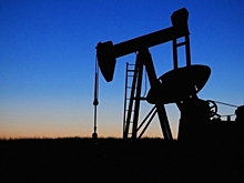 В ОПЕК отмахиваются от угроз США по сокращению импорта нефти
