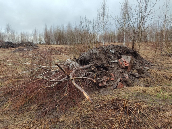 На поле фермера под Новосибирском неизвестные устроили свалку: «Сидел в засаде»