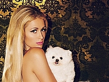 Тело дня: Пэрис Хилтон топлес и с припавшим к ее груди бойфрендом в съемке для глянца