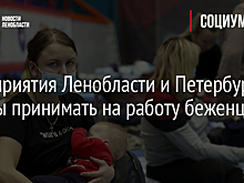Предприятия Ленобласти и Петербурга готовы принимать на работу беженцев