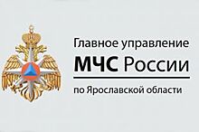 Москвичей предупредили об усилении ветра до 24 м/с