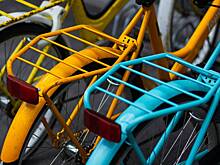 Москвича оштрафовали на десятки тысяч рублей из-за украшения на велосипеде