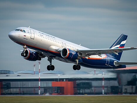 "Аэрофлот" запустил тестирование новой услуги по перевозке животных