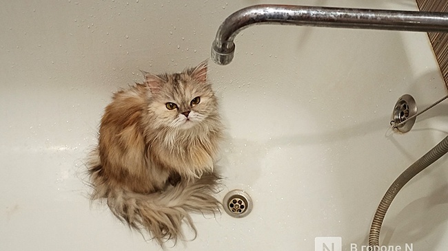 Восемь домов останутся без света или воды в Нижнем Новгороде 18 декабря