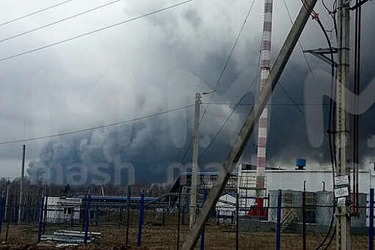 МЧС сообщило о полной ликвидации пожара на птицефабрике в Брянской области