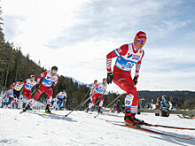Депутат Свищев: наши лыжники драли норвежских и будут драть их дальше