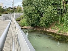 В Казани на озере Нижний Кабан вода поменяла цвет