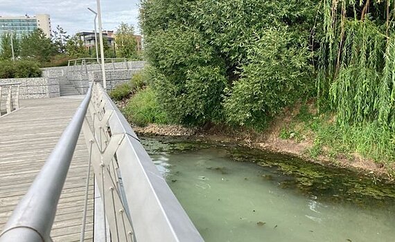 В Казани на озере Нижний Кабан вода поменяла цвет