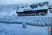 В Воркуте силовики изъяли почти четыре тонны незаконно выловленной рыбы