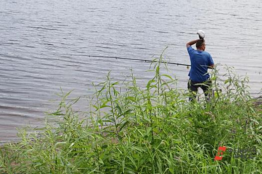 Почему в реках и каналах Петербурга массово гибнет рыба: ответ Росприроднадзора