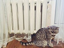 Двум районам Тверской области понадобится помощь полиции, чтобы войти в отопительный сезон