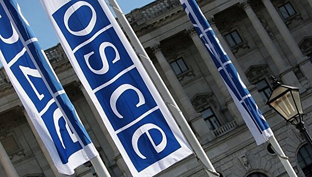 В ОБСЕ состоятся выступления кандидатов на пост генсека