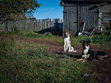 Пульмонолог Степанян объяснил, чем городской воздух отличается от сельского