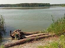 В Пензе к купальному сезону подготовят 8 зон отдыха