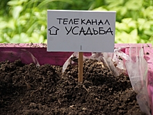 В Перовском парке детей превращают в дачников