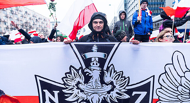 «Лапы прочь от Украины!»: радикалы опозорились в Польше