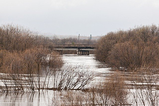 В Новосибирской области затопило паводком семь дачных участков