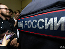 Учебные программы по подготовке интернет-полиции появились в России