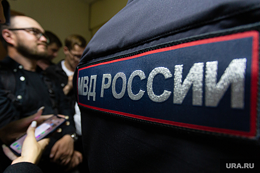 Учебные программы по подготовке интернет-полиции появились в России