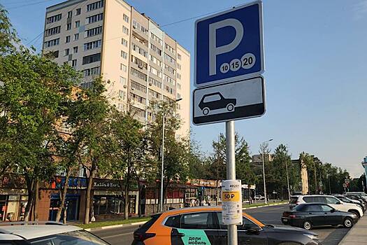 Многодетным семьям в городском округе Пушкинский предоставили льготу на платных парковках