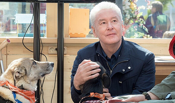 Яблоко режут на куски
