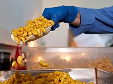 Врач-диетолог объяснила, есть ли от соевого мяса польза или вред