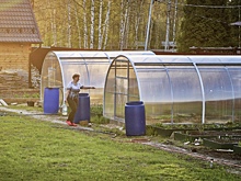 Дачникам напомнили о штрафах до ₽50 тысяч