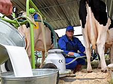 Кто отважится сказать Путину, что сын его друга по разведке загоняет сельское хозяйство в гроб?