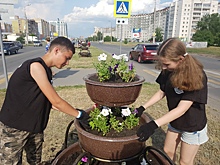 В Заозёрном высадили первую партию цветов вдоль проспекта Маршала Голикова