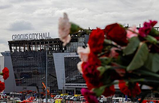 При теракте в «Крокус Сити Холле» погибли женщина с сыном из Таганрога