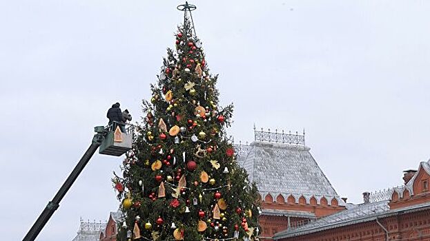 В Кремль привезли главную новогоднюю елку