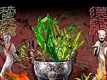 В Крылатском рассказали об истории китайского искусства древних времен