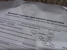 В Ульяновске полицейские пресекли деятельность организованной группы, которая специализировалась на мошенничестве в сфере страхования