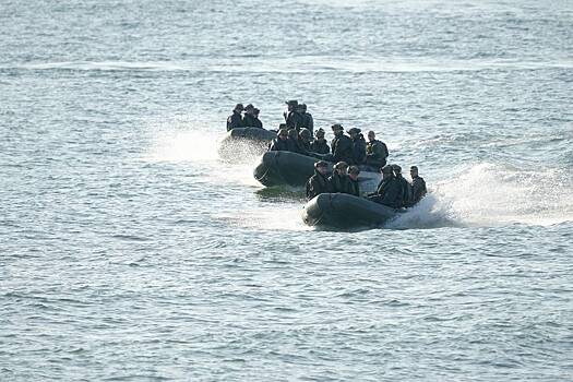 В МИД выразили беспокойство из-за роста числа участников учений НАТО в Азии