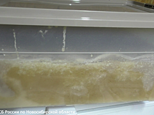 В Сибири ликвидирован наркоцех, где процесс производства «соли» фиксировался видеонаблюдением