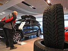 Россиянам рассказали, какие автотовары стали самыми популярными зимой