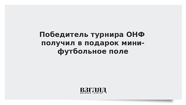 Победитель турнира ОНФ получил в подарок мини-футбольное поле