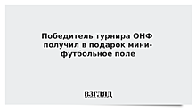 Победитель турнира ОНФ получил в подарок мини-футбольное поле