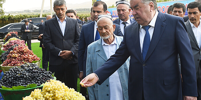 Президент Таджикистана оценил богатый урожай виноградников Турсунзаде