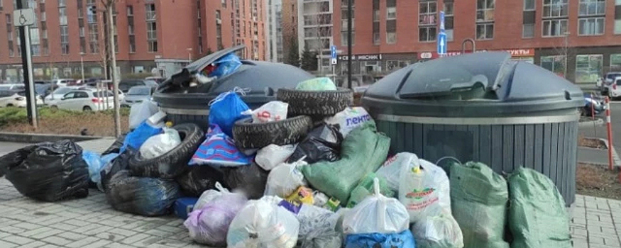 В Новосибирске режим повышенной готовности из-за проблем с вывозом мусора продлён до 20 мая