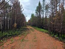 Число экологических преступлений выросло в регионе