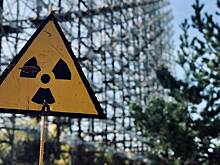 В гвоздике из Индонезии обнаружили следы радиоактивного цезия-137